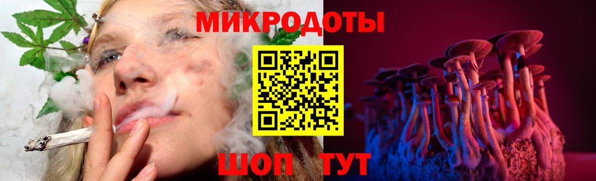 Великий Устюг  Псилоцибиновые грибы прущие грибы  Вход с VPN  Галлюциногенные грибы мицелий 